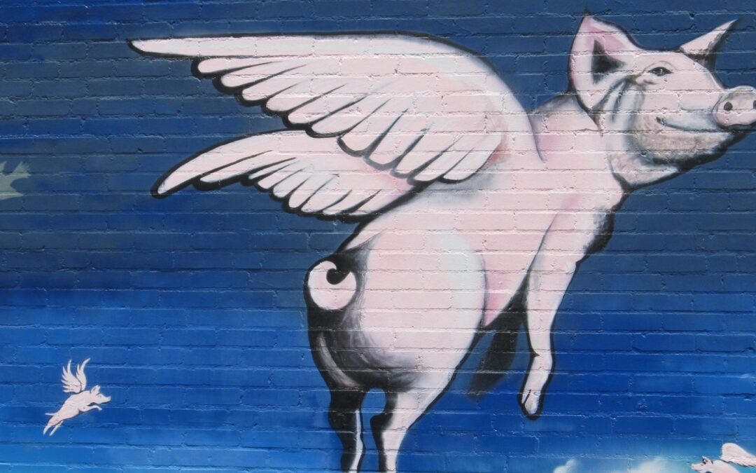 Dynamic Design: What Does Flying Pig Designs Do?