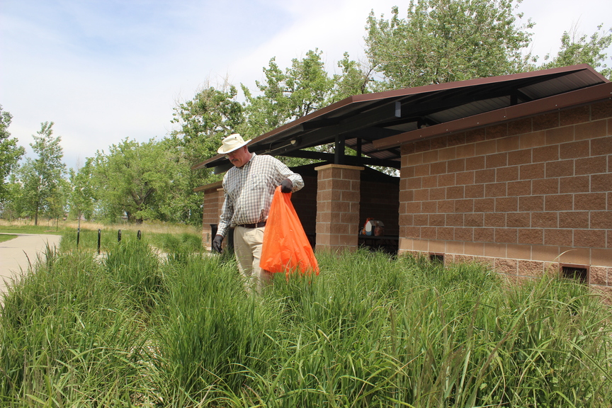 Flying Pig Designs Park Cleanup Next Friday